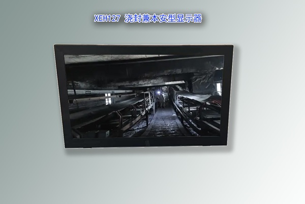 浇封兼本安型显示器,防爆显示器