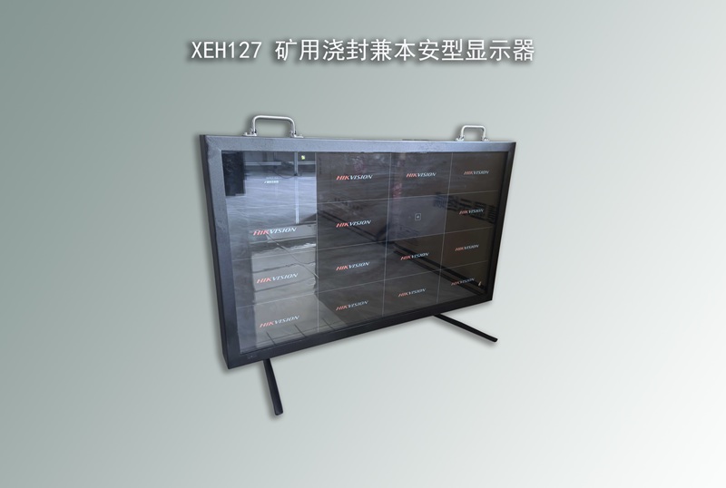 XEH127浇封兼本安型显示器