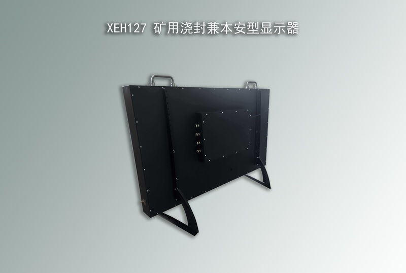 浇封兼本安型显示器